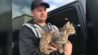 Gunakan Kopi Hangat Untuk Selamatkan Anak Kucing yang Beku, Pria Ini Panen Pujian