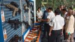 Mantap! Tank Harimau Made in Bandung Diincar Filipina