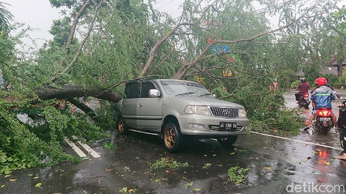 Sebuah mobil tertimpa pohon tumbang di Jalan Nasional Jayeng Kusuma, Tulungagung. Akibatnya, bodi bagian belakang kendaraan ringsek.