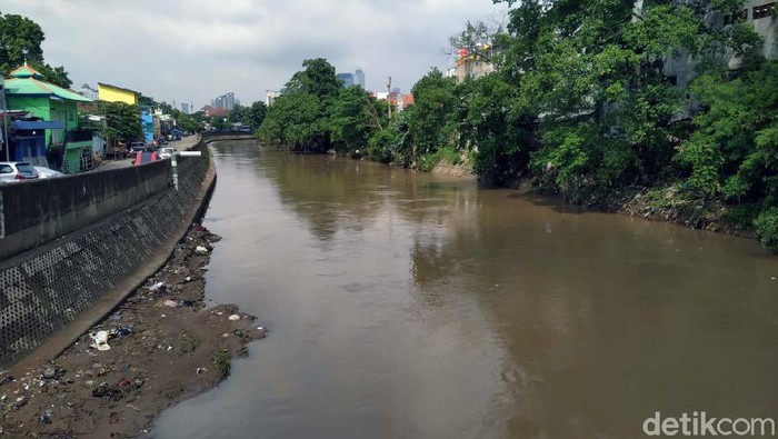 Permasalahan pembebasan lahan masih jadi hambatan utama mandeknya proyek normalisasi kali Ciliwung. Proyek ini sendiri dinilai dapat meminimalisir banjir di Jakarta.