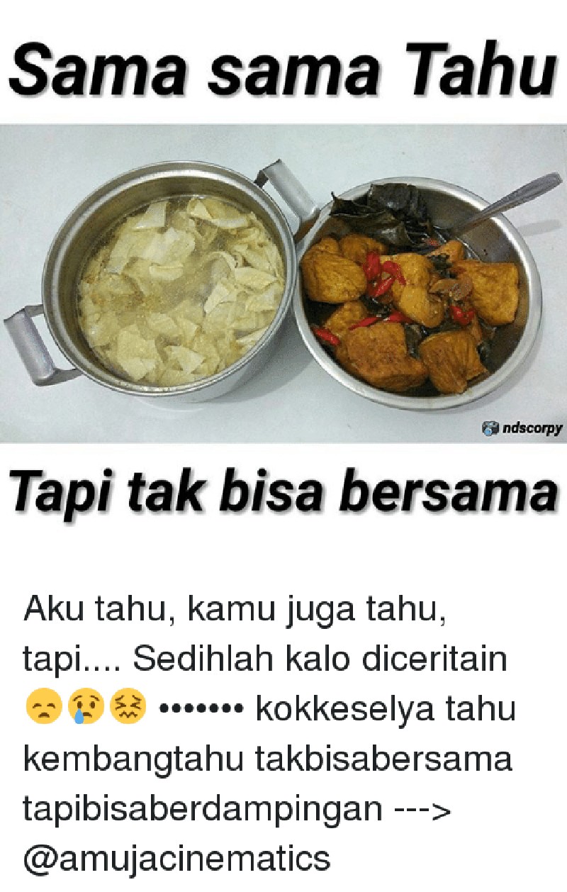 meme tahu yang kocak