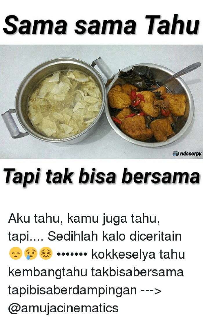 meme tahu meme tahu yang kocak