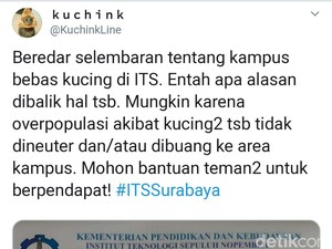 Ini Penjelasan ITS Soal Surat Edaran Bebas Kucing di Area Kampus yang Viral