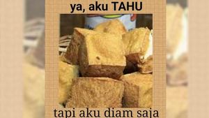 Kocak! Ini 10 Meme Tahu Ini Dijamin Bikin Ngakak