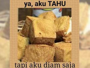 Kocak! Ini 10 Meme Tahu Ini Dijamin Bikin Ngakak