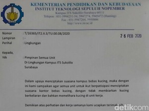 Ini Isi Surat Edaran ITS Bebas Kucing yang Viral di Medsos