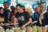 Mantul! Warga Lumajang Serbu 1.000 Durian Gratis