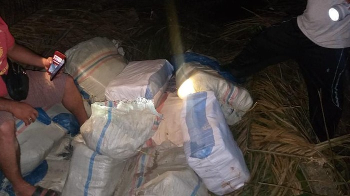 Polisi Amankan 350 Kg Ganja di Padangsidimpuan