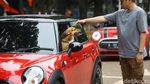 Indo Mini Club Rayakan Hari Jadi di Tahun Kabisat