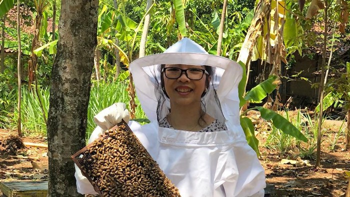 Budidaya Madu Klenceng Tetap Eksis Di Masa Pandemi Ekonomi Dan Bisnis Rri Bandung