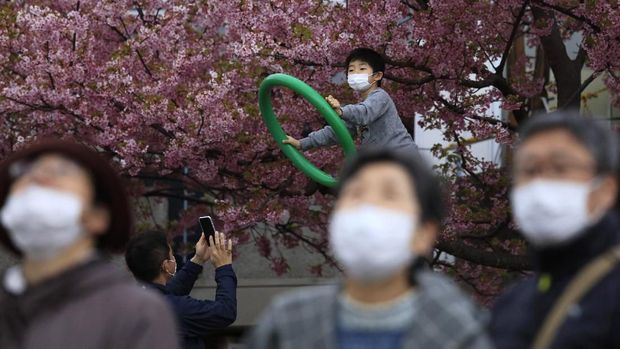 Bunga sakura berkearan di Jepang.