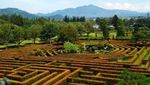 Foto: 8 Tempat Wisata di Bogor yang Keren Abis!