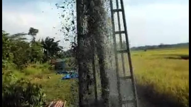 Lokasi Semburan Lumpur di Grobogan Dipasangi Garis Polisi