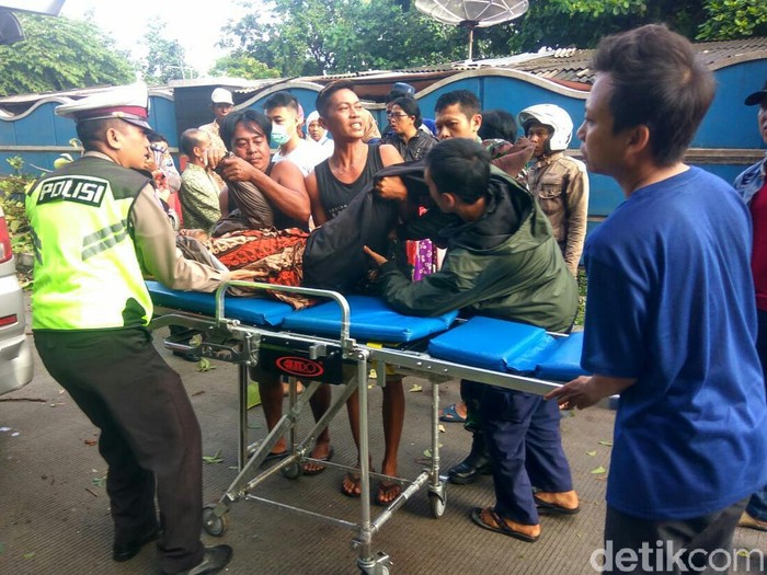 Pohon jati di tepi Jalan Raya Pantura Situbondo mendadak tumbang. Pohon itu menimpa seorang pengendara motor hingga pingsan.