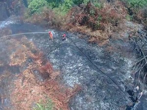 Antisipasi Karhutla, Pemerintah Modifikasi Cuaca di 3 Provinsi