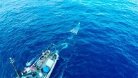 Dengan cara ini, masalah polusi laut dapat diselesaikan di sumbernya dan plastik tidak akan mencapai perairan lautan terbuka.
