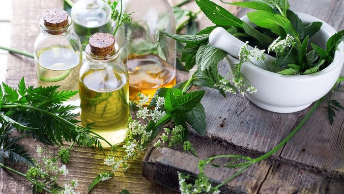 obat herbal obat herbal