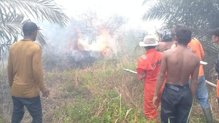 Kebakaran lahan sawit di Agam