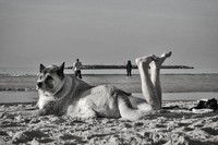 Foto menarik karya Anthimos Ntagkas
