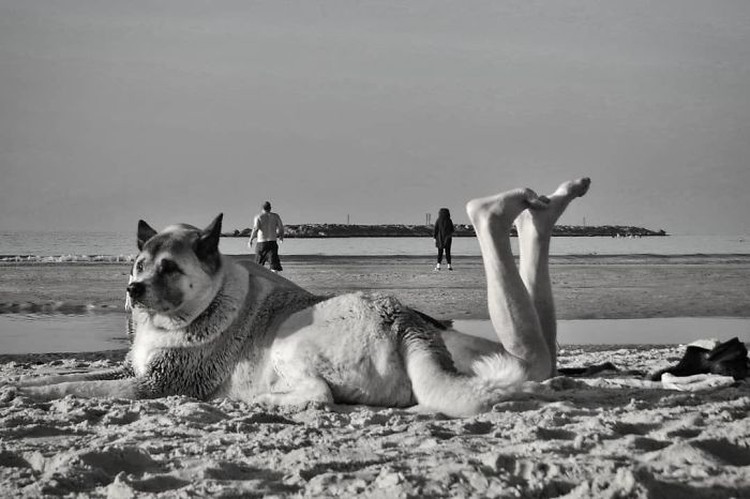 Foto menarik karya Anthimos Ntagkas