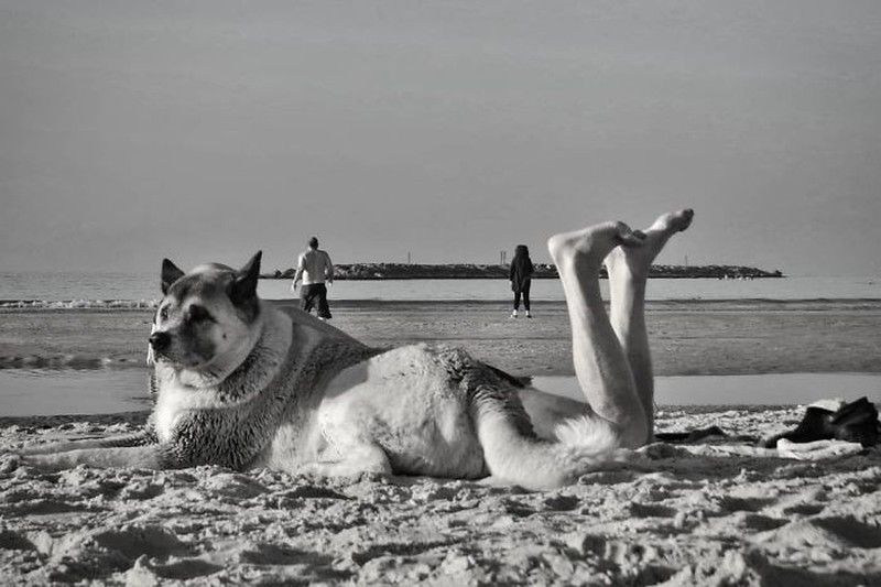 Foto menarik karya Anthimos Ntagkas
