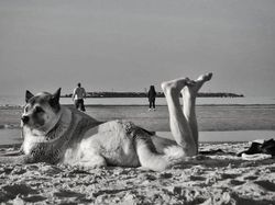 Deretan Foto Menarik  Diambil dari Angle yang Tepat