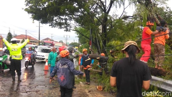 Penanganan pohon tumbang di Jalan Yogya-Klaten