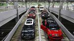 Indo Mini Club Rayakan Hari Jadi di Tahun Kabisat