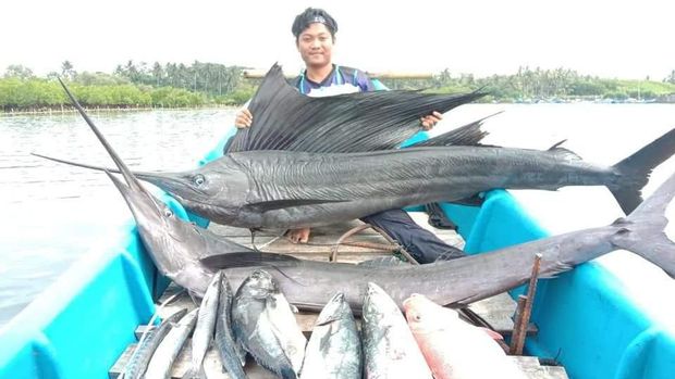 Pemancing Pangandaran Tangkap Ikan Marlin