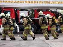 Damkar Bogor Dapat Laporan Evakuasi Ular, Tapi Disuruh Tagih Utang