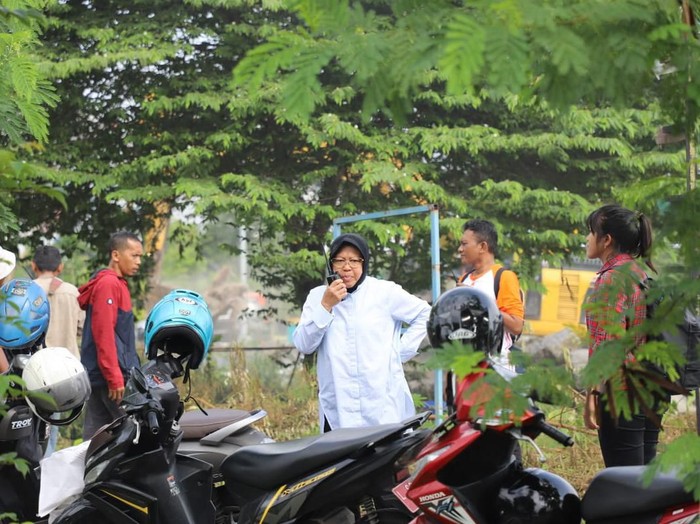 Dinas Kebersihan dan Ruang Terbuka Hijau (DKRTH) Surabaya akan membangun taman pasif di Bundaran Underpass Mayjen Sungkono. Taman itu seluas 2.280 meter persegi.