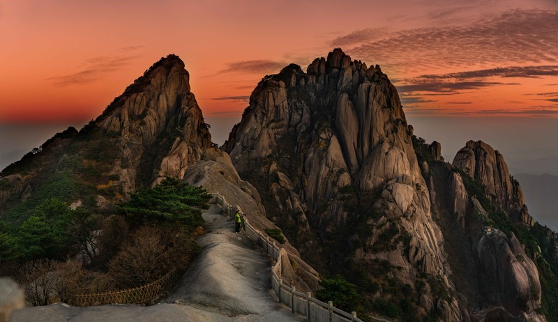 Sony World Photography Awards 2020