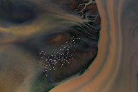 Sony World Photography Awards 2020