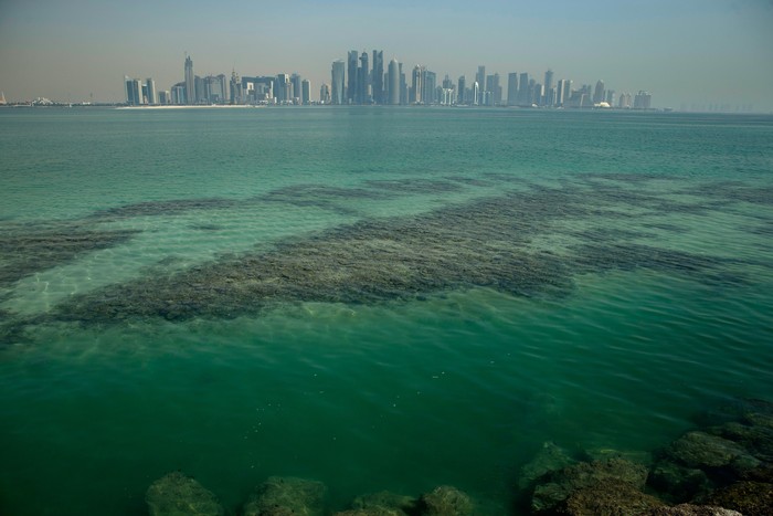 Giliran Qatar yang Konfirmasi Kasus Pertama Corona Qatar mengonfirmasi kasus pertama virus corona. Dilaporkan seorang pria Qatar berusia 36 tahun yang dievakuasi ke Doha dari Iran dinyatakan positif corona.