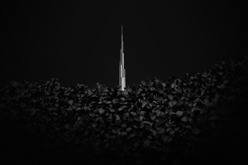 Sony World Photography Awards 2020