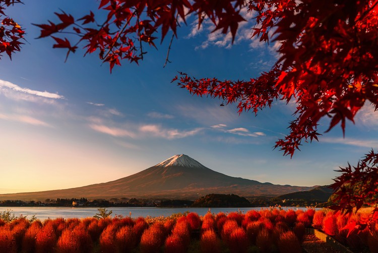 Sony World Photography Awards 2020