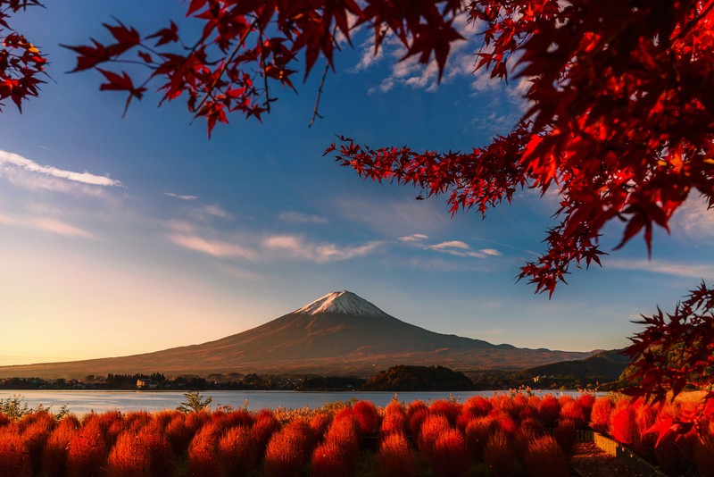 Sony World Photography Awards 2020
