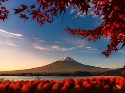 Karya Memukau Jawara Sony World Photography Awards 2020