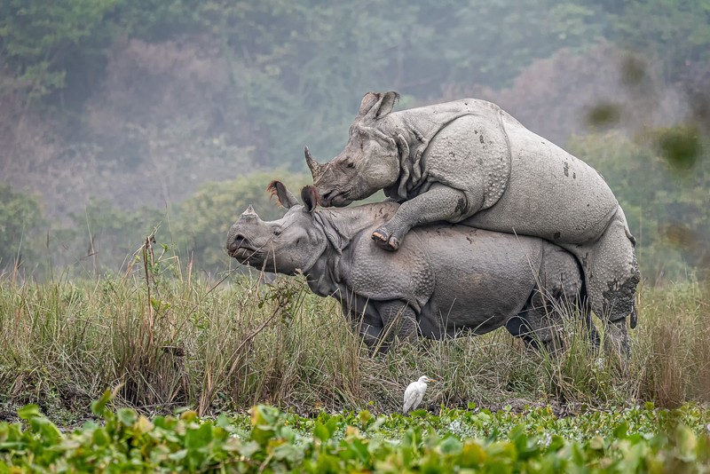 Sony World Photography Awards 2020