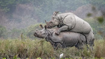 National Awards dari India dimenangi Abhijeet Kumar Banerjee. Foto: Sony World Photography Awards 2020