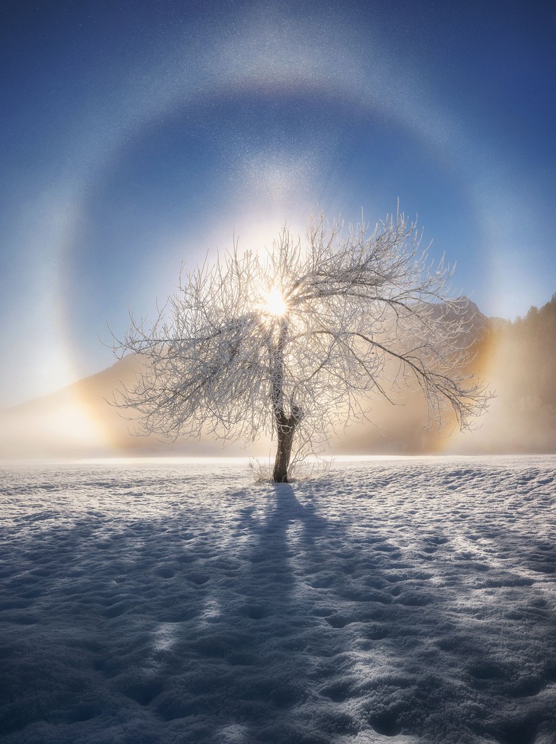 Sony World Photography Awards 2020
