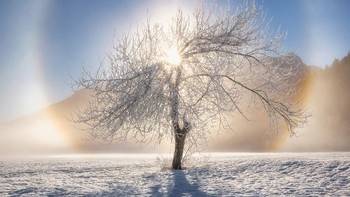 National Awards dari Slovenia dimenangi Ales Krivec. Foto: Sony World Photography Awards 2020