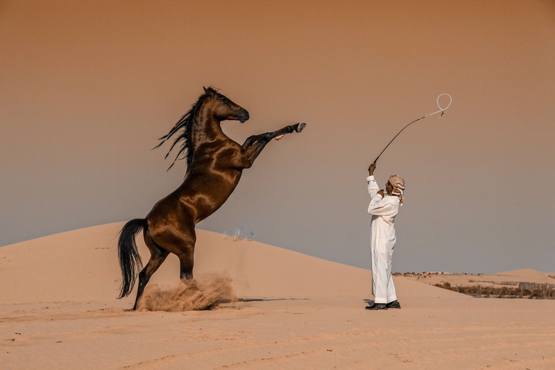 Sony World Photography Awards 2020