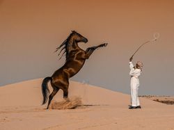 Karya Memukau Jawara Sony World Photography Awards 2020
