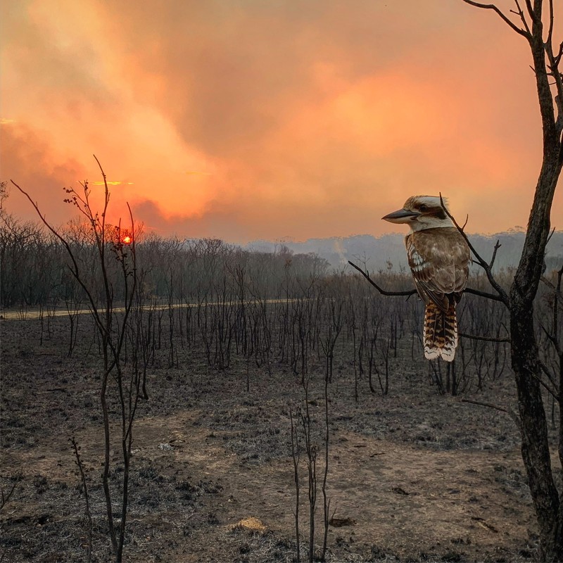 Sony World Photography Awards 2020