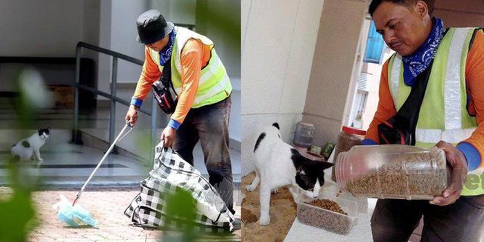 Berbuat Kebaikan untuk Kucing