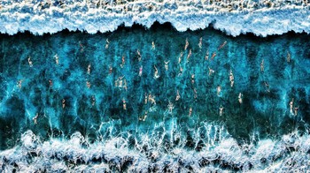 National Awards dari Italia dimenangi Roberto Corinaldesi.  Foto: Sony World Photography Awards 2020