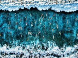 Karya Memukau Jawara Sony World Photography Awards 2020