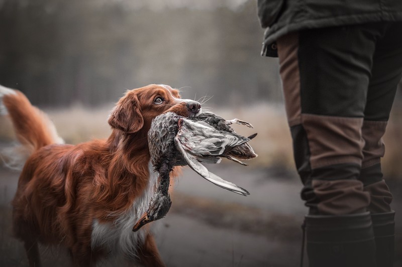 Sony World Photography Awards 2020