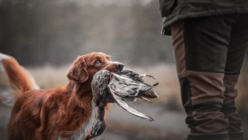 National Awards dari Estonia dimenangi Kristiina Tammik. Foto: Sony World Photography Awards 2020